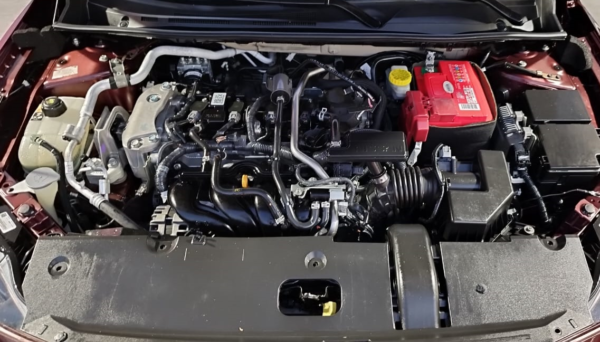 𝐍𝐈𝐒𝐀𝐍 𝐒𝐄𝐍𝐓𝐑𝐀 𝐀𝐃𝐕𝐀𝐍𝐂𝐄 𝟐𝟎𝟐𝟑 - Imagen 17