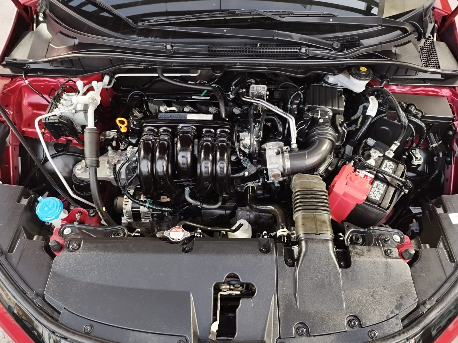 πππππ ππππ πππππ ππππ - Imagen 15